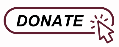 donate button